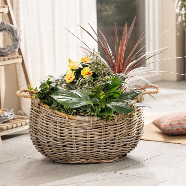 FRANK FLECHTWAREN | Pflanzschiff Rattan, 58 x 43 x 35 cm, RATTAN, FOLIE, HANF,