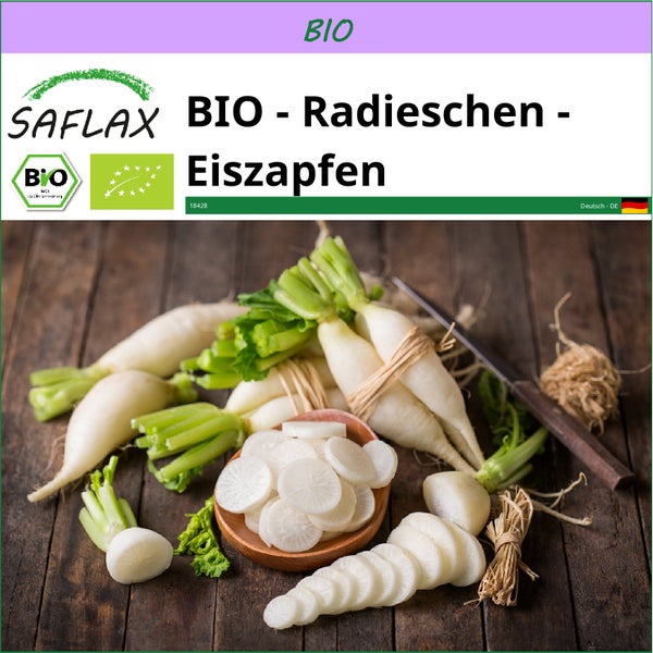 SAFLAX  - BIO - Radieschen - Eiszapfen - Raphanus sativus - 100 Samen