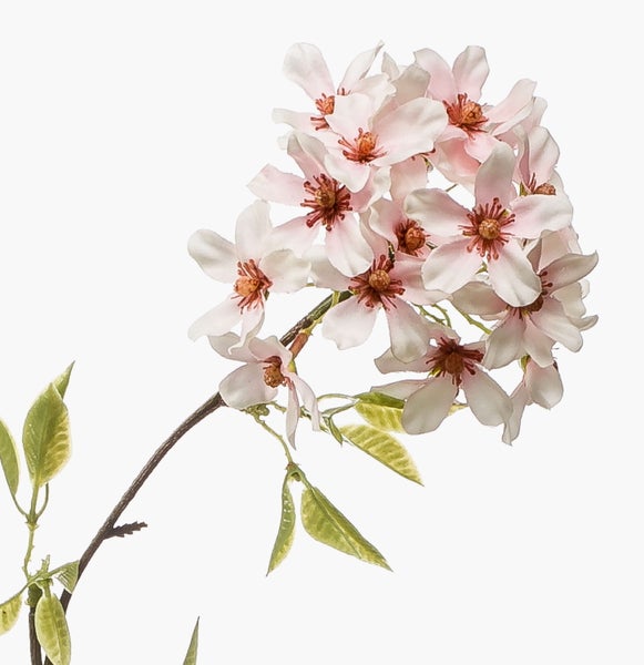 Künstliche Anthurie (Flamingoblume) im schwarzen Topf mit lachsfarbenen Blüten und grünen Blättern.
