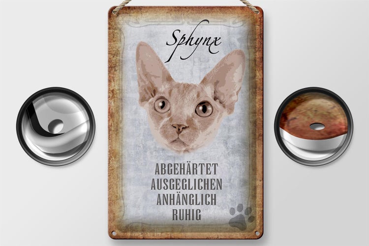 Blechschild Spruch 20x30cm Sphynx Katze Schild deko