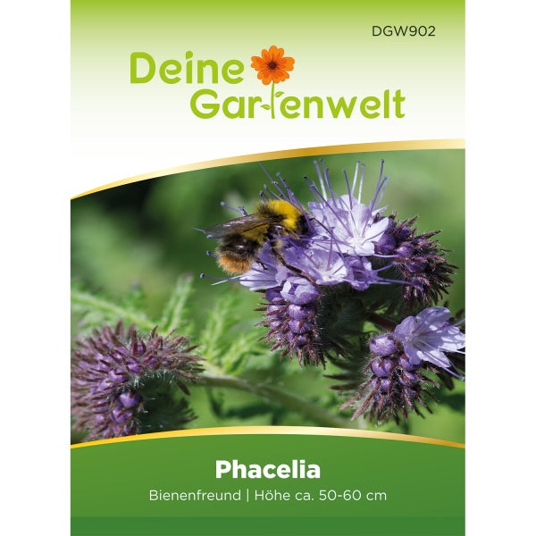 Phacelia Bienenfreund 100 g Samen von Deine Gartenwelt