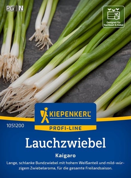 Bund Lauchzwiebeln Sorte Kaigaro von Kiepenkerl Profi Line, geeignet für Hochbeet und Kübel, für die gesamte Freilandsaison.