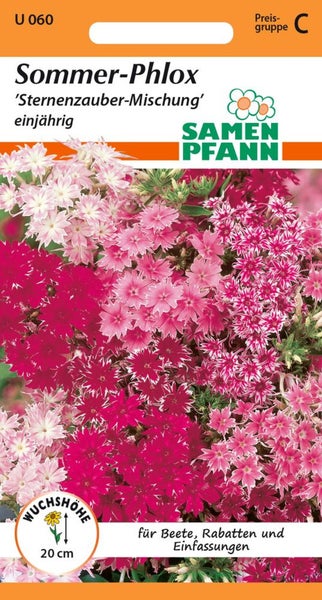 Sommer-Phlox 'Sternenzauber-Mischung' Blumensamen, einjährig, Wuchshöhe 20 cm, für Beete, Rabatten und Einfassungen.