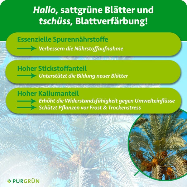 Infografik für Purgrün Pflanzendünger mit Details zu Spurennährstoffen, Stickstoff und Kalium gegen Blattverfärbung und Froststress. Purgrün Logo.