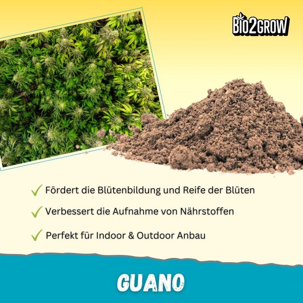 Bio2Grow Guano Dünger für Indoor und Outdoor Anbau