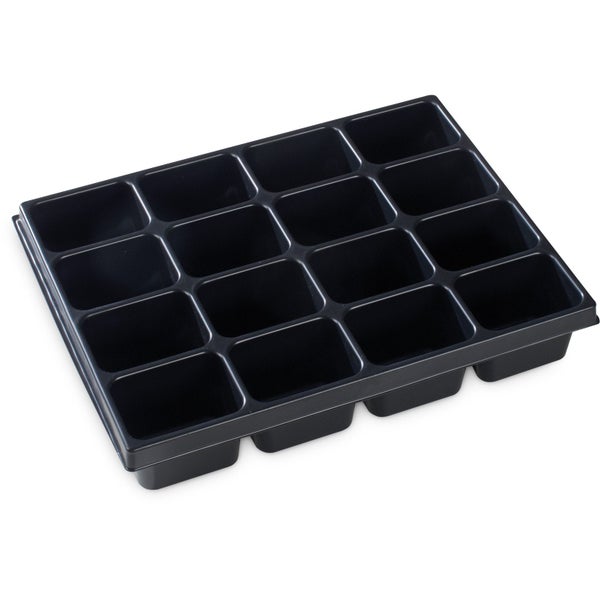 Blick durch das Blätterdach eines Baumes