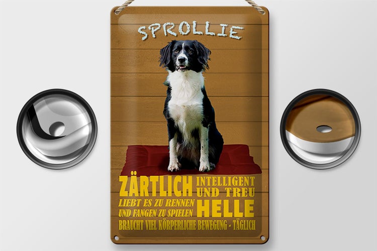 Blechschild Spruch 20x30cm Sprollie Hund zärtlich und treu