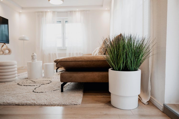 Modernes Wohnzimmer mit braunem Sofa, hellem Teppich und einem hohen weißen Pflanztopf mit grünem Ziergras im Vordergrund.
