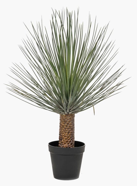 Künstliche Yucca-Pflanze im schwarzen Kunststofftopf mit strukturiertem braunem Stamm und schmalen grünen Blättern.