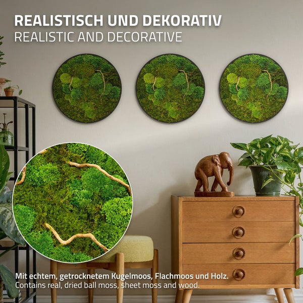 Drei runde Wandbilder aus echtem getrocknetem Kugelmoos, Flachmoos und Holzelementen als dekorative Wandgestaltung in einem Wohnraum.