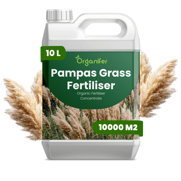 Organifer Logo auf einem 10 Liter Kanister Pampasgras-Dünger, organisches Düngerkonzentrat für circa 10000 Quadratmeter.