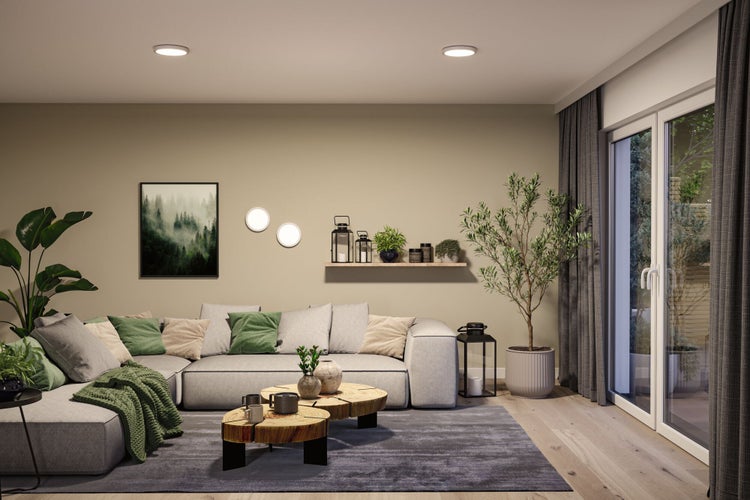 Modernes Wohnzimmer mit grauem Ecksofa, Couchtischen aus Baumscheiben, großer Zimmerpflanze und bodentiefen Glastüren mit grauen Vorhängen.
