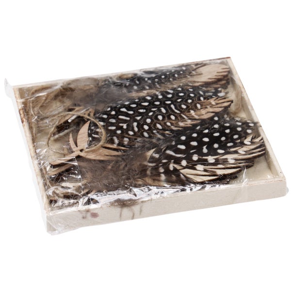 Dekorative Federn mit Punkten in einer Holzschachtel