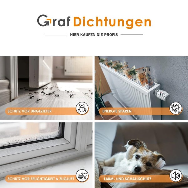Graf Dichtungen Logo. Vorteile von Dichtungen: Schutz vor Ungeziefer, Energie sparen, Schutz vor Feuchtigkeit und Zugluft sowie Lärmschutz und Schallschutz.