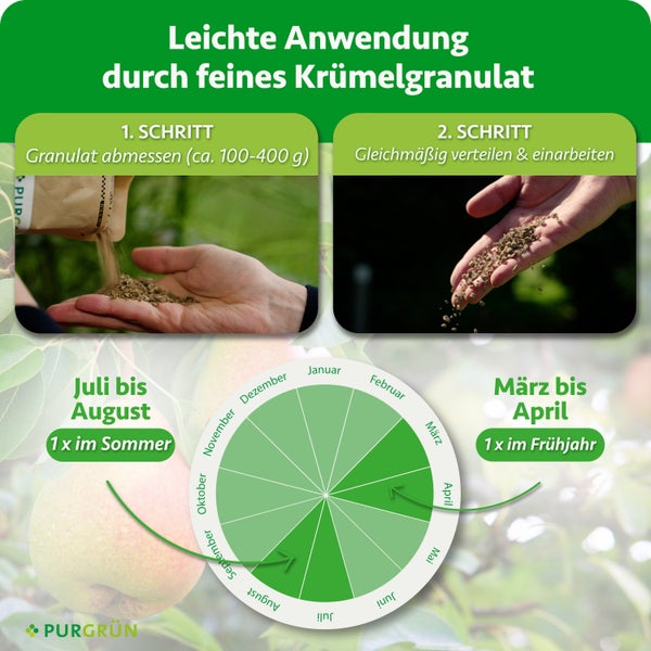 Anleitung zur Anwendung von feinem Krümelgranulat mit zwei Schritten und einem Düngekalender für Frühjahr und Sommer von Purgrün.
