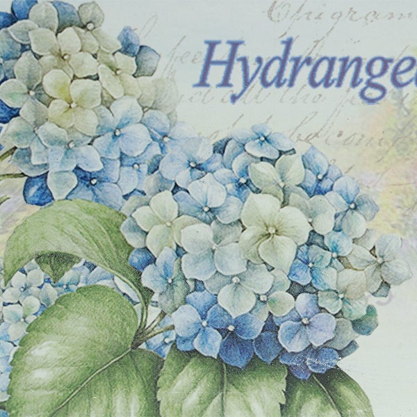 Wandbild mit botanischem Hortensien Motiv und dekorativer Schrift auf einem Untergrund