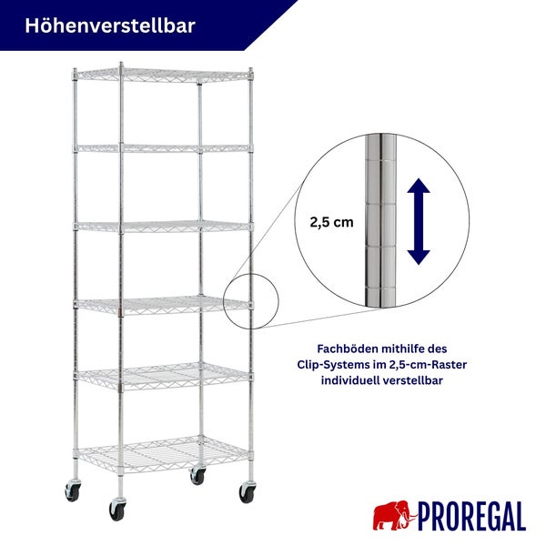 Verchromtes Gitterregal auf Rollen mit sechs Fachböden, die im 2,5 Zentimeter Raster höhenverstellbar sind. Proregal Logo.