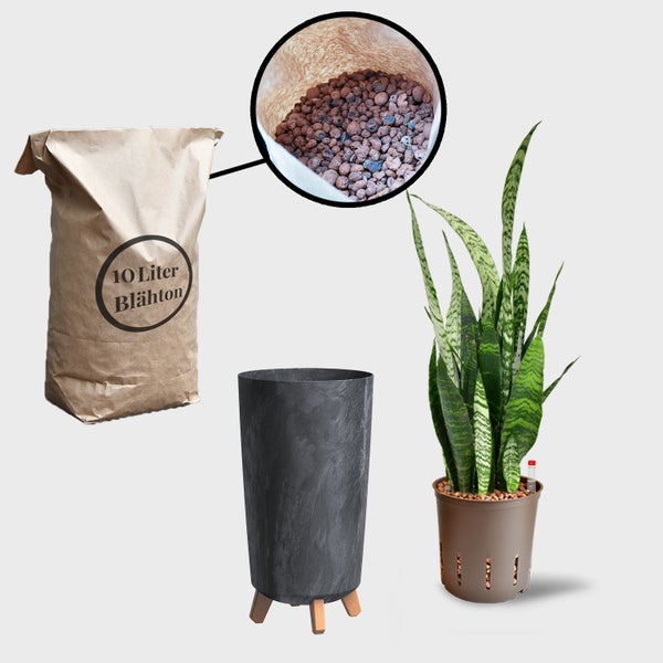 Abbildung eines Sets mit einem Sack Blähton mit einem Volumen von 10 Litern, einem grauen Pflanzgefäß und einer Grünpflanze