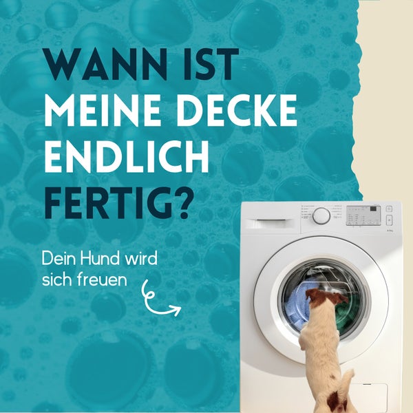 nimo® Waschmittel für Hundebekleidung • reinigt zuverlässig ohne Duftstoffe und Farbstoffe