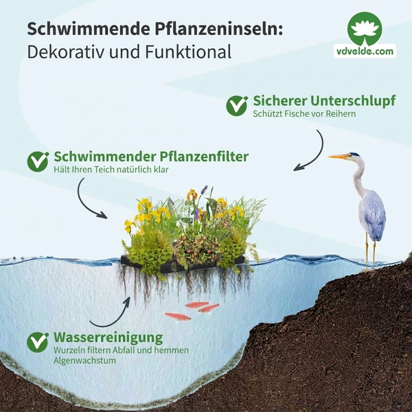 Infografik zeigt schwimmende Pflanzinsel im Gartenteich mit Nutzen zur Wasserreinigung, als Filter und als Schutz vor Reihern durch Vdvelde Logo.