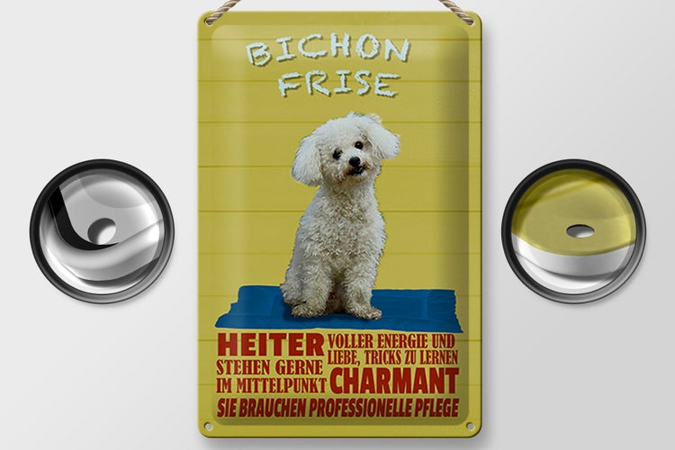 Blechschild Spruch 20x30cm Hund Bichon Frise charmant
