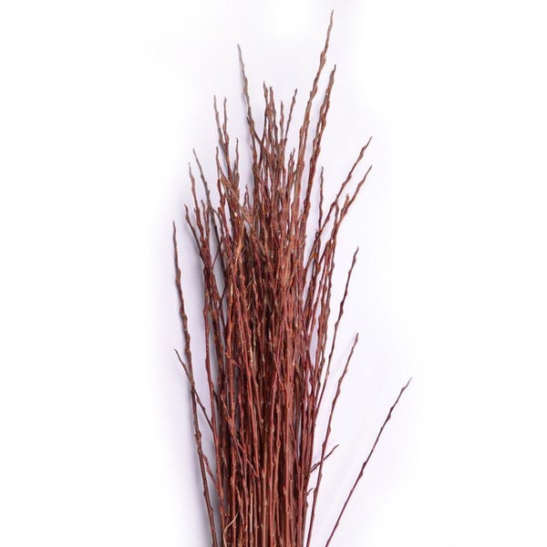 Bündel von roten Zierweidenzweigen