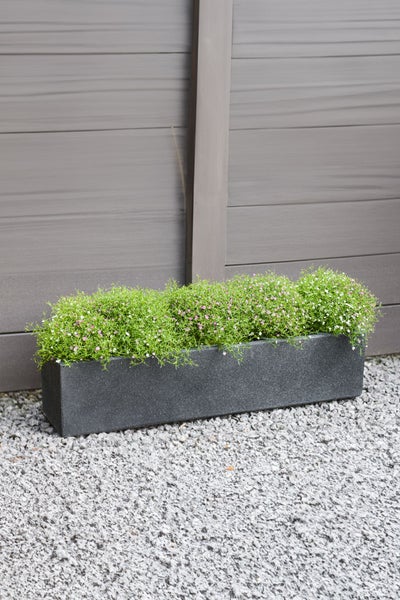 Rechteckiger Pflanzkasten in Granit-Optik, bepflanzt mit kleinen Blumen, auf Kies vor einem Sichtschutzzaun.