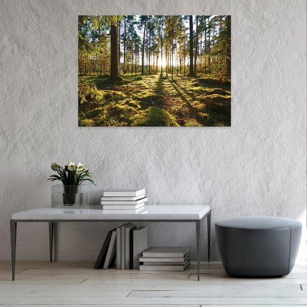 Leinwandbild Wald Natur Bilder Wohnzimmer 120X80 cm