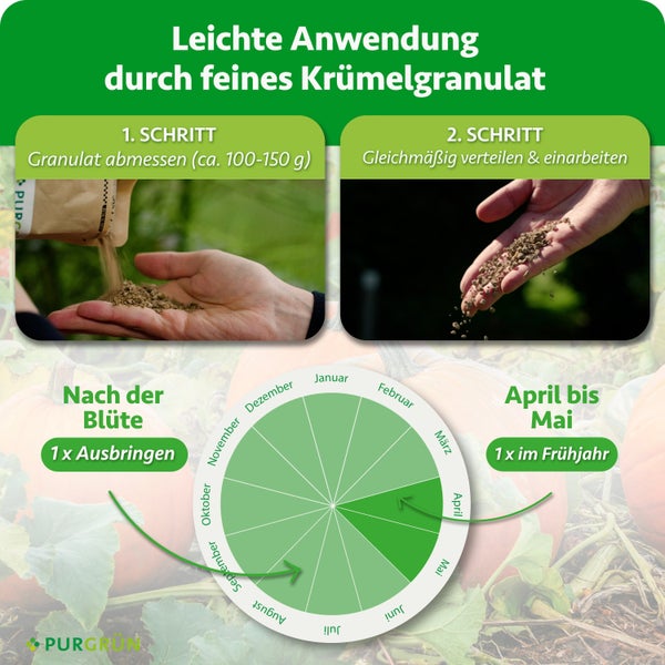 Anleitung zur Anwendung von Purgruen Granulat mit Schritten zum Abmessen und Verteilen sowie einem Jahreskalender fuer den Ausbringungszeitraum.