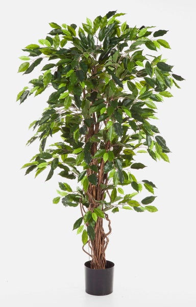 Künstliche Ficus-Pflanze mit grünen Blättern und verschlungenem Stamm in einem schwarzen Kunststofftopf.