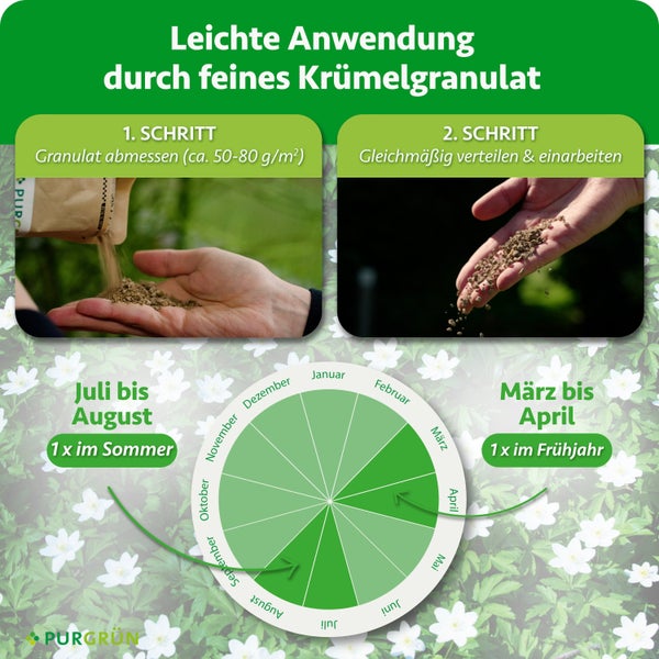Anleitung zur Anwendung von Granulatdünger mit Dosierungsschritt und Kalender für die optimale Düngezeit im Frühjahr und Sommer von Purgruen