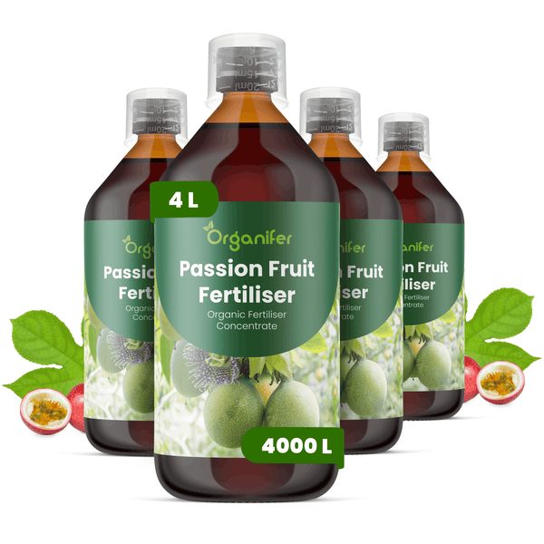 Vier Flaschen Organifer Passionsfrucht-Dünger, organisches Düngerkonzentrat, insgesamt 4 Liter für bis zu 4000 Liter Dünger.