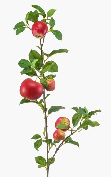 Künstliche Banksia-Blüte mit gezackten grünen Blättern
