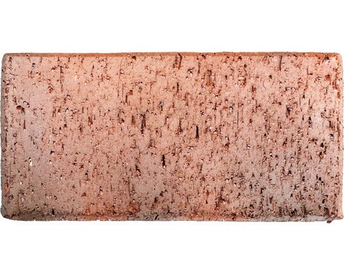 Pflasterklinker Wismar rot blau bunt, 10x20x5,2cm