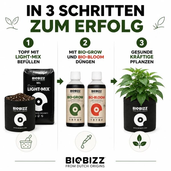 Drei Schritte zum Erfolg mit Biobizz: 1. Topf mit Light-Mix füllen, 2. Düngen mit Bio-Grow und Bio-Bloom, 3. Gesunde Pflanzen. Biobizz Logo.