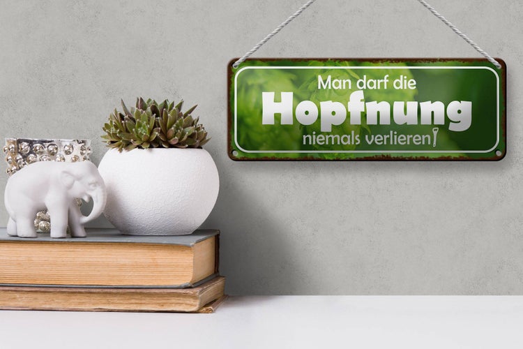 Blechschild Spruch 27x10cm darf Hopfnung niemals verlieren Dekoration