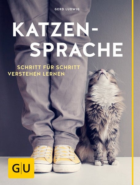 Katzensprache Schritt für Schritt verstehen lernen