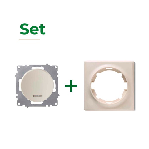 Set aus Schaltereinsatz mit Wippe und Abdeckrahmen für die Unterputzinstallation