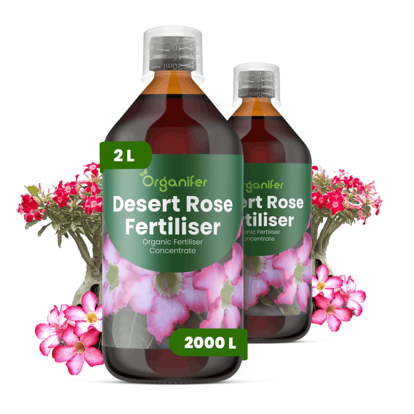 Organifer Wüstenrosen-Dünger, 2 Liter Flasche, organisches Düngerkonzentrat für Adenium.