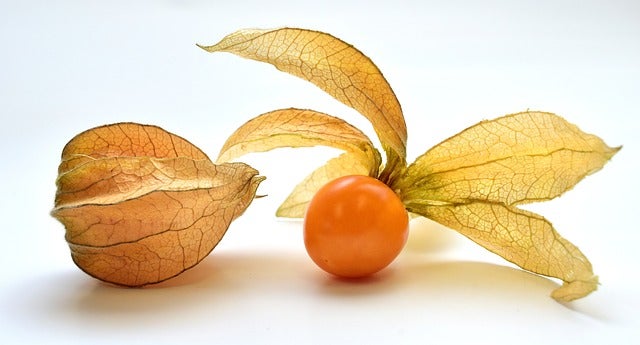 Holzleiter mit Sprossen