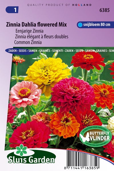 Zinnia Dahlie Blumenmischung Samenpackung