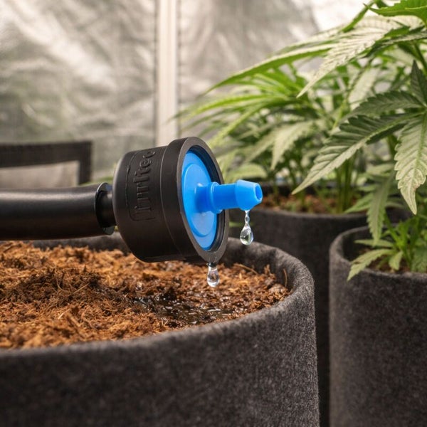 Tröpfchenbewässerung mit Tropfer über einem Pflanztopf mit Erde, Wassertropfen fallen auf die Erde, Pflanzen im Hintergrund.