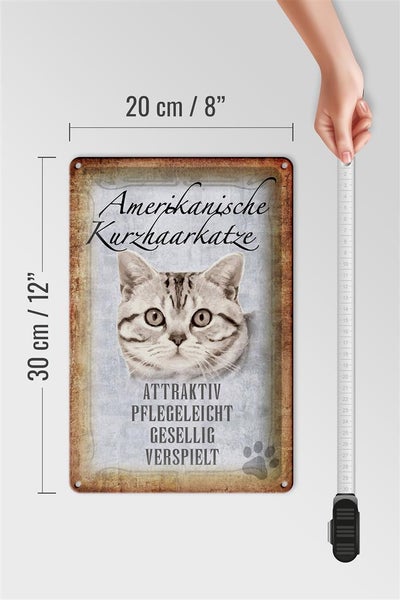 Blechschild Spruch 20x30cm Amerikanische Kurzhaarkatze
