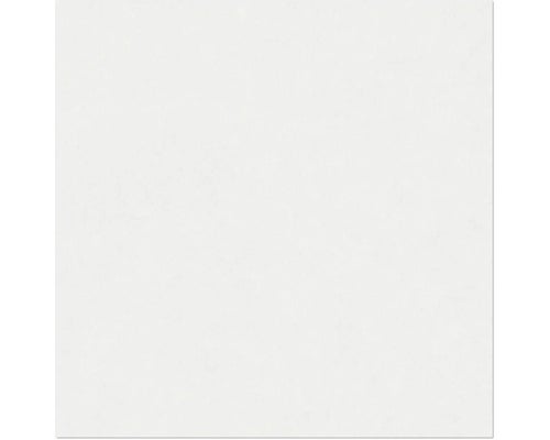 Heller Raum mit Wandfliesen, Regal mit Büchern, Lampe und Dekoration