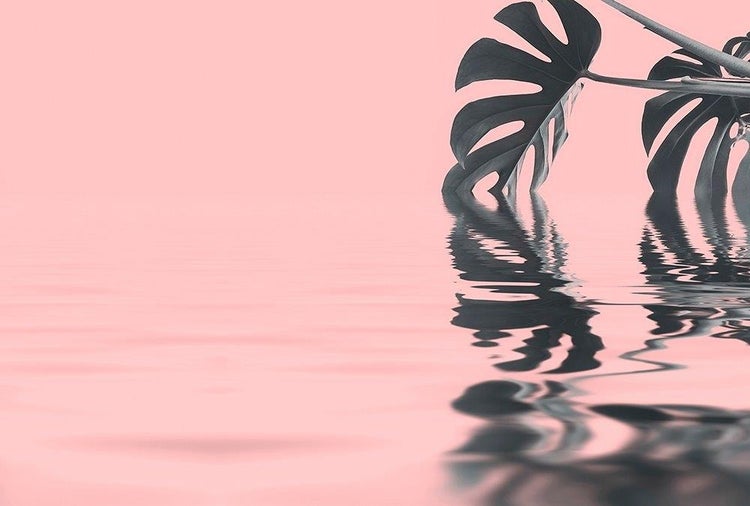 Wandbild mit Monstera-Blatt, das sich in einer Wasseroberfläche mit leichten Wellen spiegelt.