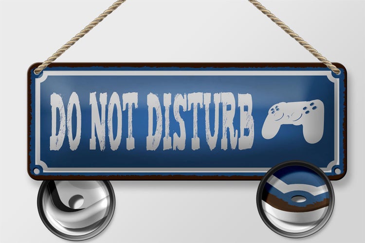 Blechschild Spruch 27x10cm do not disturb nicht stören Dekoration