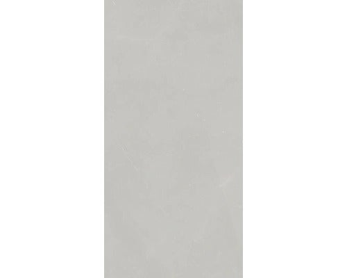 Wand- und Bodenfliese Walk pearl 30x60cm