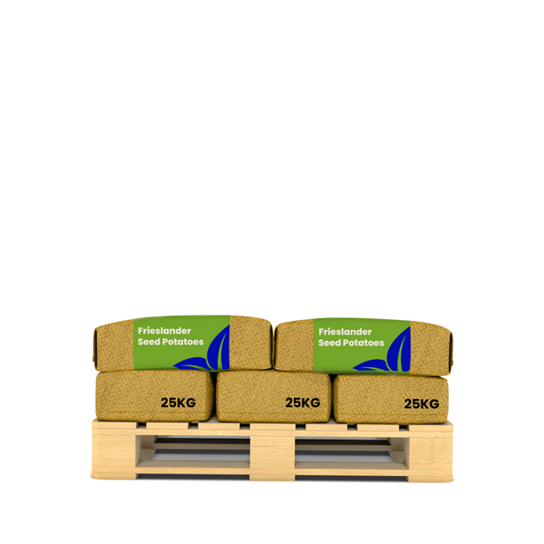 USB-Kabel mit USB-A- und USB-C-Anschlüssen für Smartphone, Tablet, Controller, Headset, Ladegerät und Powerbank