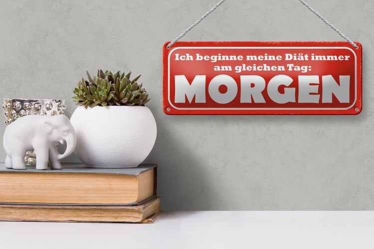 Blechschild Spruch 27x10cm Diät immer gleicher Tag Morgen Dekoration