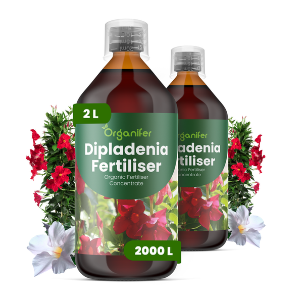 Zwei Flaschen Organifer Dipladenia Dünger, organisches Konzentrat, Inhalt 2 Liter pro Flasche.